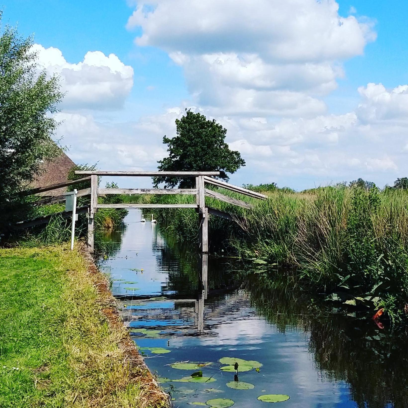 Het Waterhoentje Sint Jansklooster エクステリア 写真